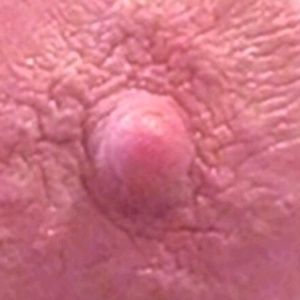 Meet your Posher, Kaiden